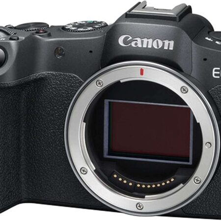 Canon EOS R8 Mirrorless Camera with RF 24-105mm
